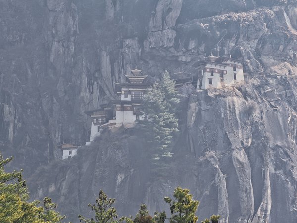 Tigers nest in lichte nevel, Bhutan