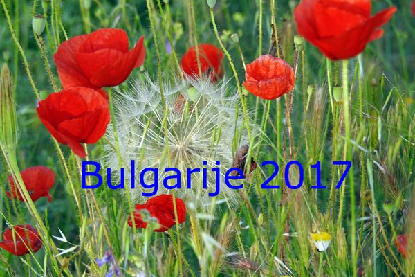 Bulgarije in de lente staat vol bloemen