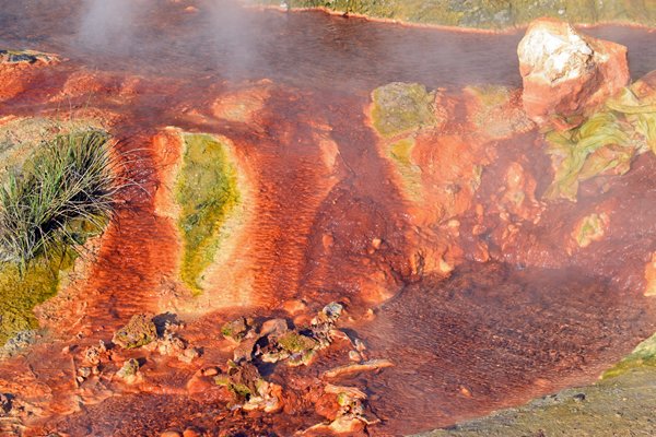 Felle kleuren bij de warmwaterbronnen van Rupite