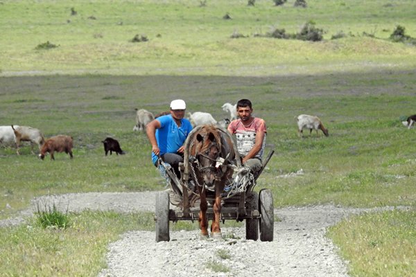 Paard en wagen op het Bulgaarse platteland