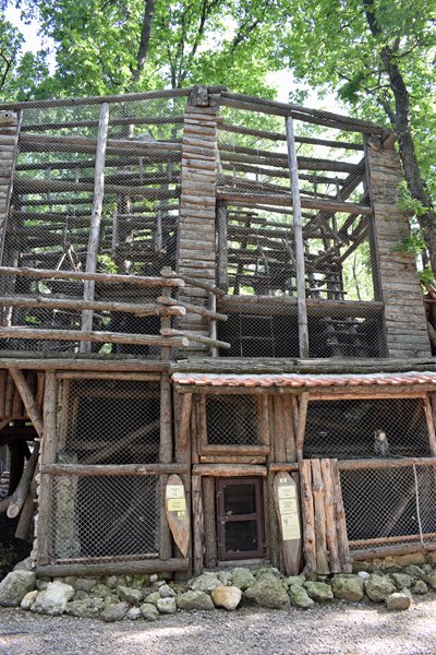 Het apenverblijf in Goritsa Zoo