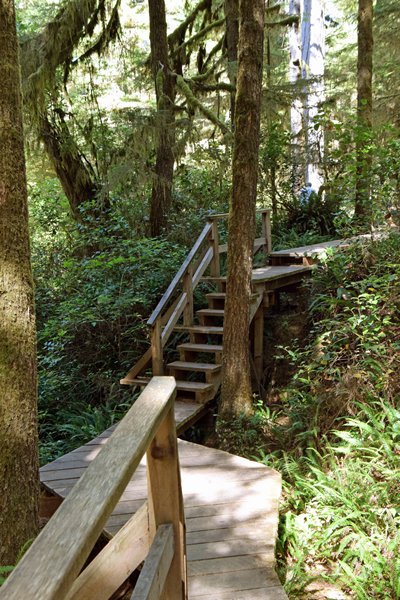 De keurig aangelegde Rainforest Trail op Vancouver Island
