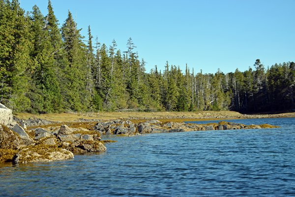De kust van Fin Island in het Great Bear Rainforest (Canada)