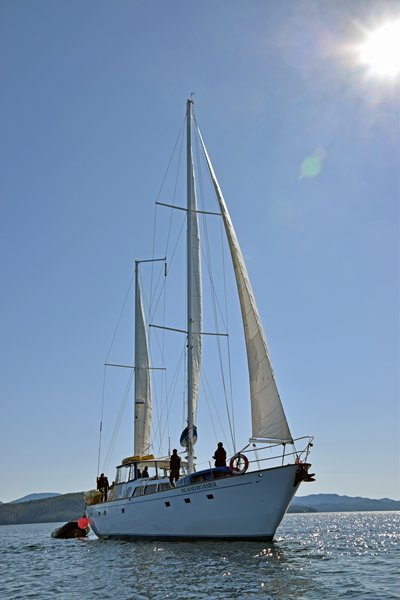 De Island Roamer met gehesen zeilen in het Great Bear Rainforest (Canada)