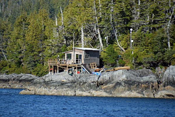 Het walvis onderzoekstation in het Great Bear Rainforest (Canada)