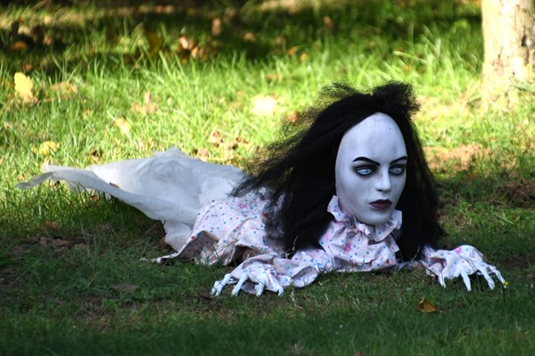 Spook in tuin in Schermbeck