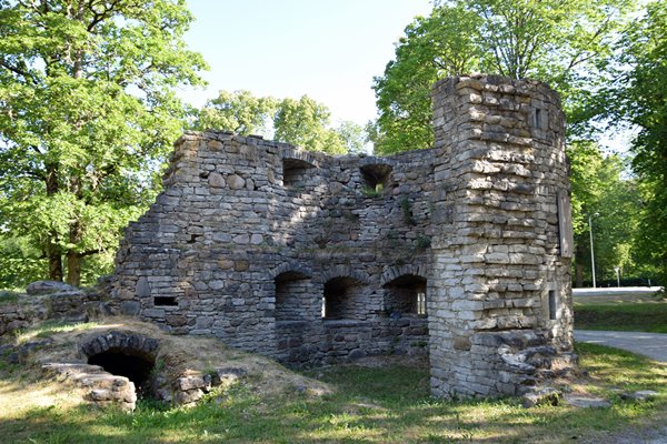 Ruïne bij Padise klooster, Estland