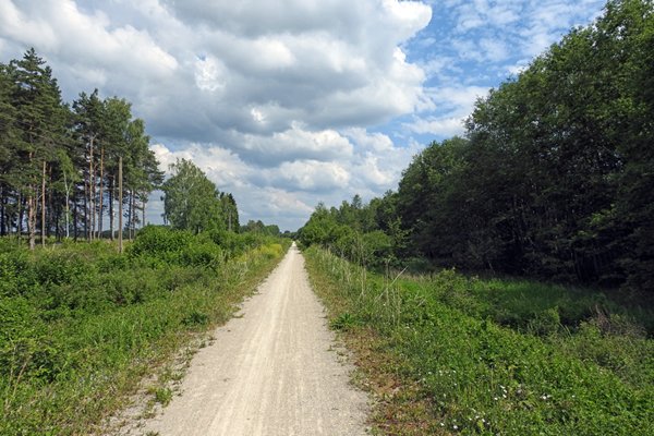 Een lang recht stuk van de spoordijk naar Haapsalu, Estland