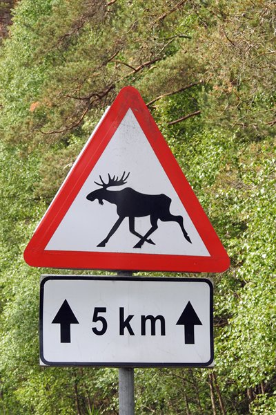 Waarschuwing voor elanden (die we niet zien) op Hiiumaa, Estland