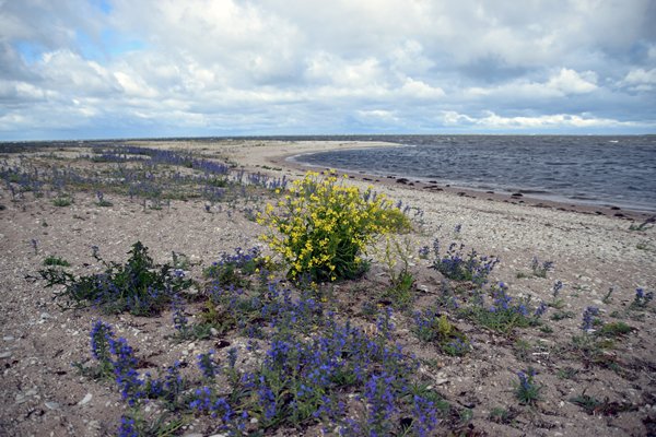 De spit bij Sääre op Saaremaa, Estland