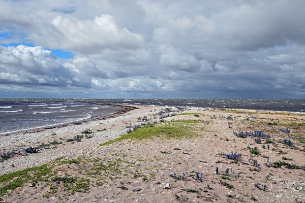 De spit bij Sääre op Saaremaa, Estland