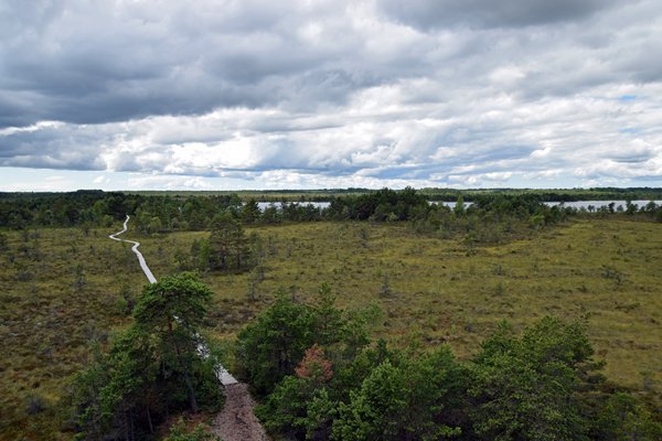 Vlonderpad bij Koigi Bog op Saaremaa, Estland