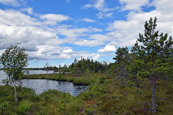 Meer bij Koigi Bog op Saaremaa, Estland
