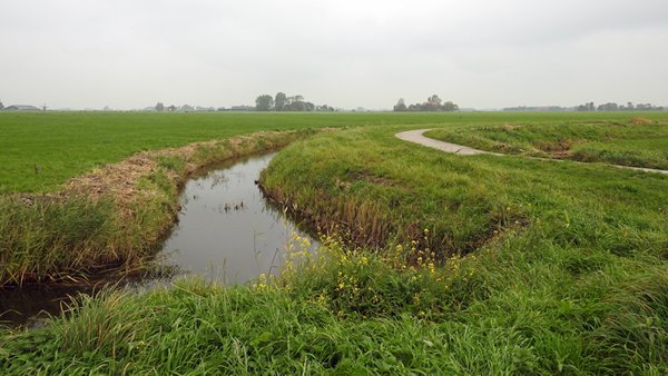 Zuiderpolder, Friesland