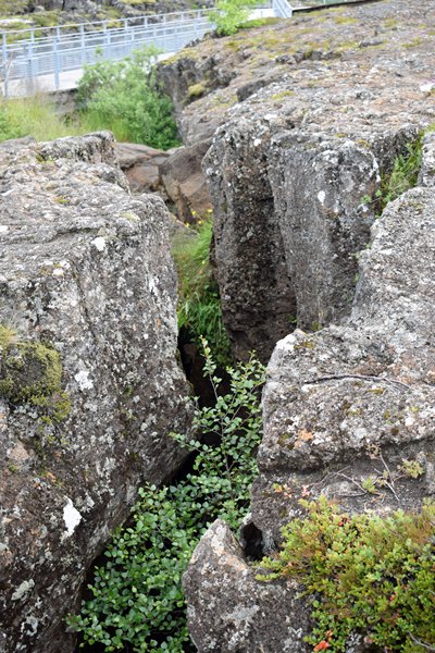 Een breuk in de rotsen bij Þingvellir