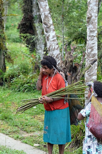 Vrouw met brandhout in Sioubri, Papoea