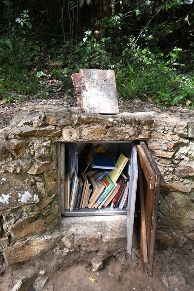 Boekenkastje in rots