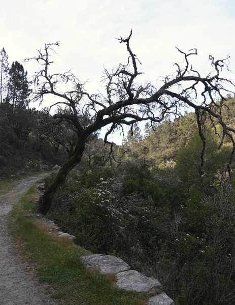 Aan het eind van de kloof van Los Molinos