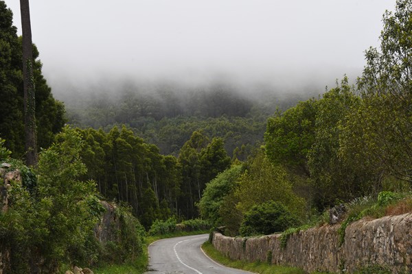 onderweg naar Convento dos Capuchos, Sintra