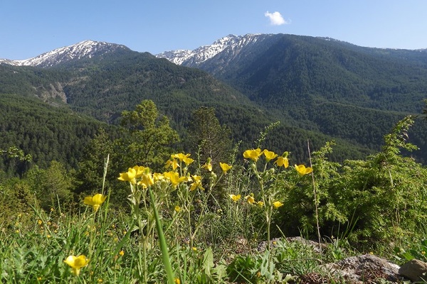 Pindos gebergte