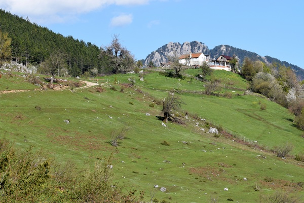 Snake Meadows, Albanië