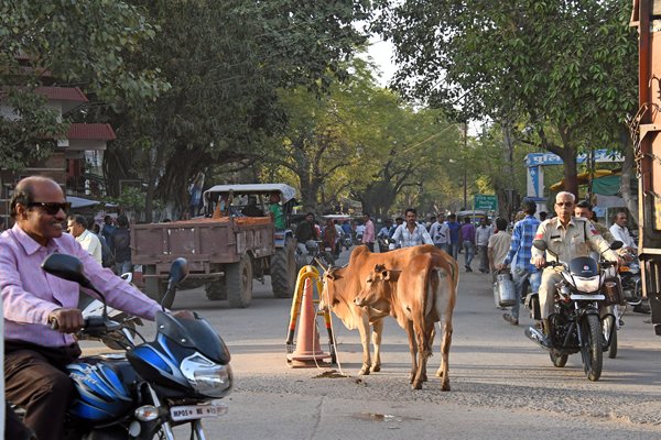 Kruispunt in Pipariya (India)