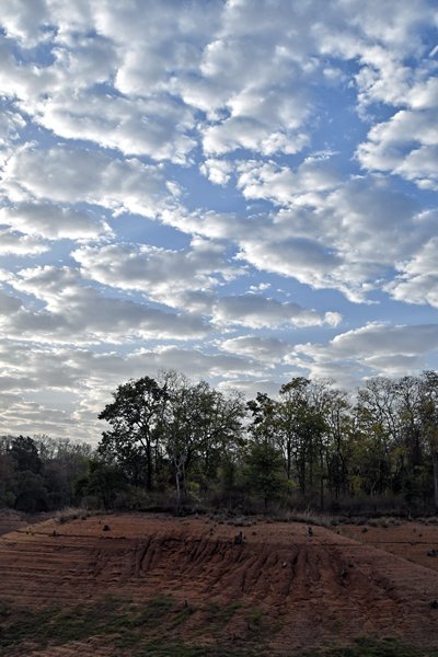 Beeld van Satpura in de vroege morgen (India)
