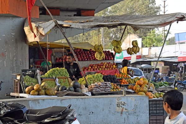 Fruitkraam tussen Hoshangabad en Bhopal (India)