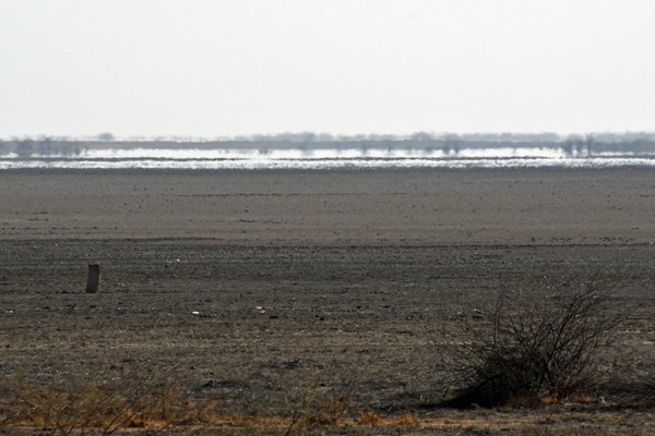 Luchtspiegeling in de Little Rann of Kutch (Gujarat, India)