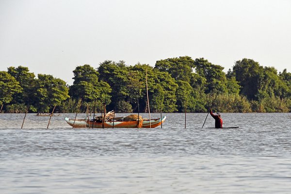 Visser in de Negombo Lagune (Sri Lanka)
