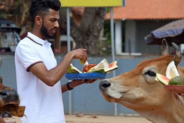 Fruitoffers bij de Sri Munneswaram Devesthan tempel bij Chilaw (Sri Lanka)