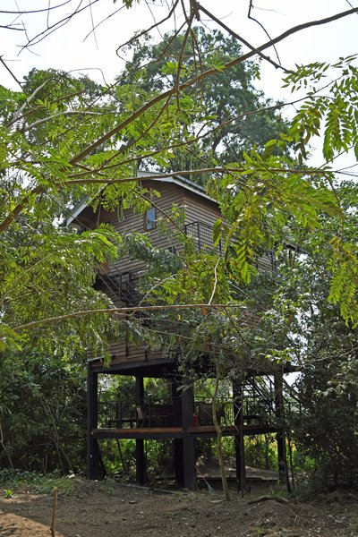 Wilpattu Tree House (Sri Lanka)