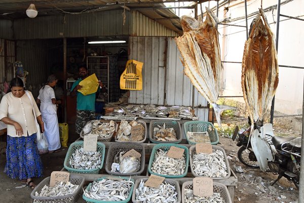 Verkoop van gedroogde vis in Jaffna (Sri Lanka)