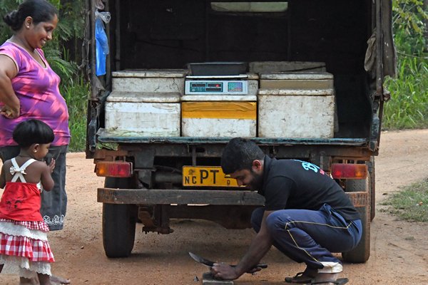 Mobiele visboer in Anuradhapura (Sri Lanka)