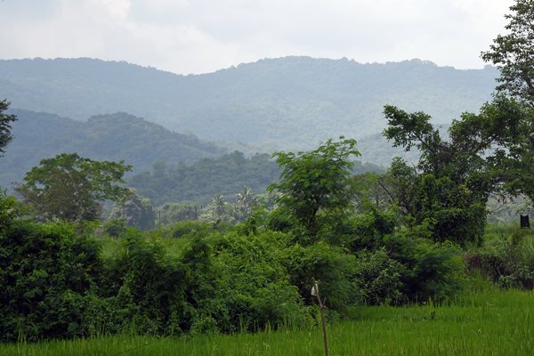 Onderweg van Dambulla naar Mahiyangana (Sri Lanka)