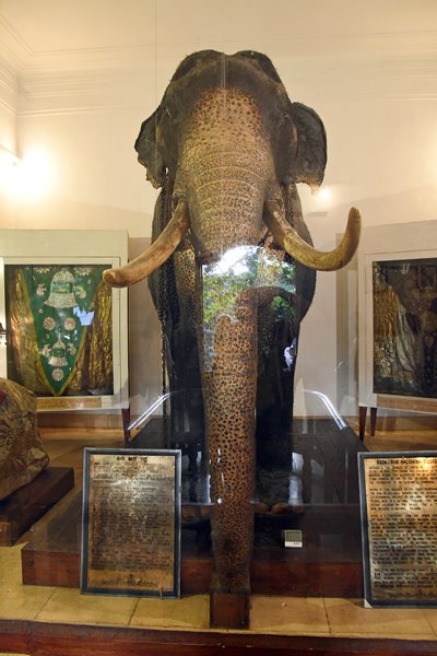 Raja bij de Tempel van de Tand in Kandy (Sri Lanka)
