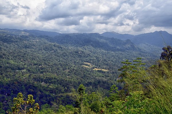 Heuvels onderweg naar Kitulgala (Sri Lanka)