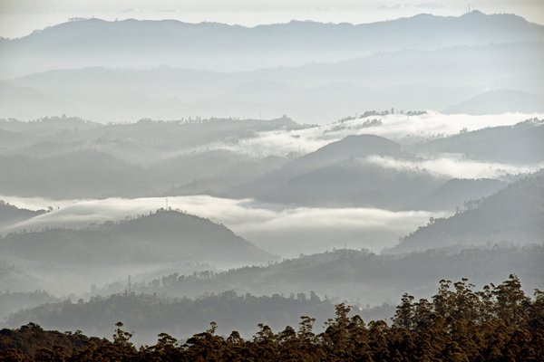 Ochtendmist in de buurt van de Horton Plains (Sri Lanka)