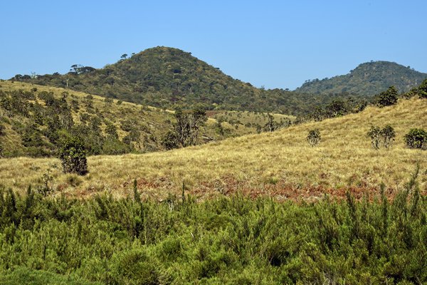 De heuvelachtige Horton Plains (Sri Lanka)
