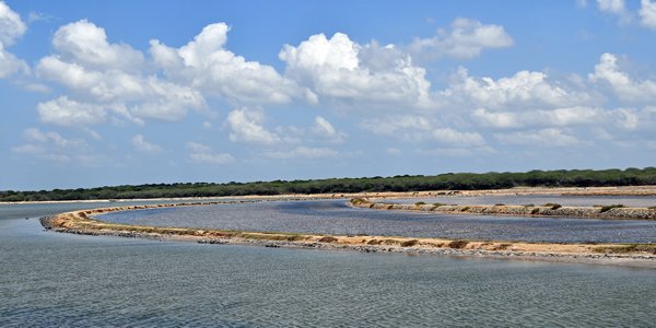 Bundala NP (Sri Lanka)