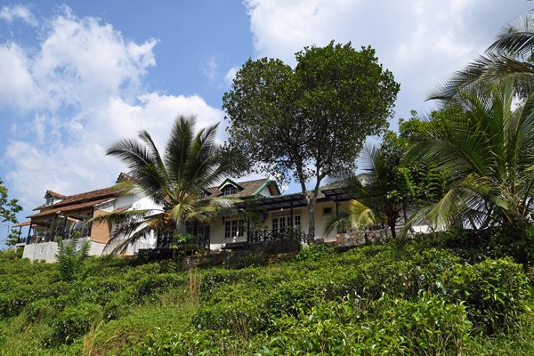 Jansen's Bungalow bij Sinharaja (Sri Lanka)