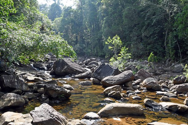 Het riviertje bij Jansen's Bungalow bij Sinharaja (Sri Lanka)