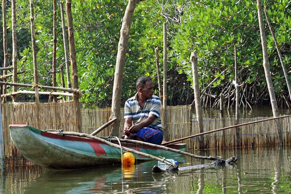 Visser op de Madu Ganga bij Balapitiya (Sri Lanka)