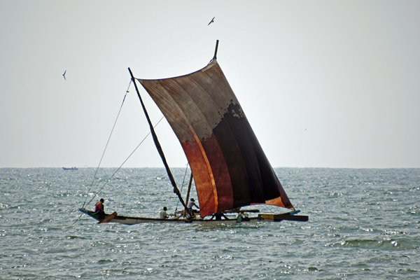 Traditionele vissersboot op zee bij Negombo (Sri Lanka)