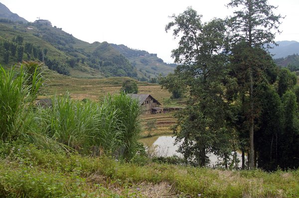Landschap bij Cat Cat, Vietnam