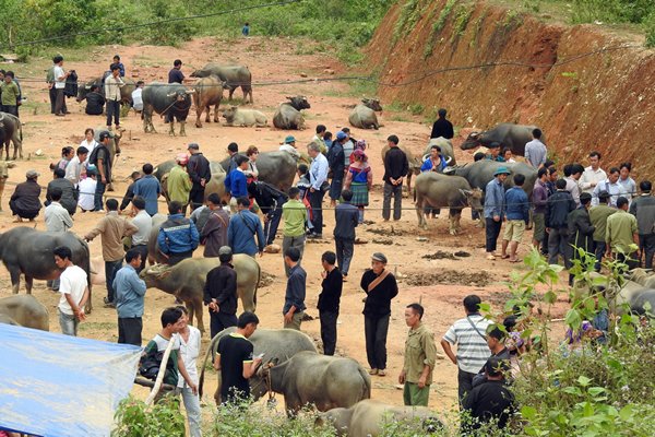 De veemarkt van Coc Ly, Vietnam