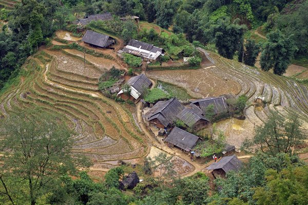 Rijstterrassen van bovenaf gezien, omgeving Ta Van (Vietnam)