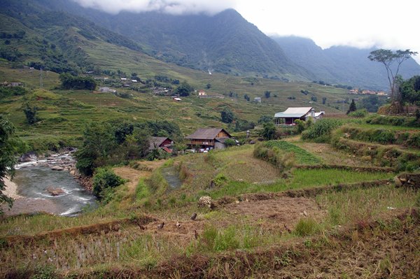 Rijstterrassen in de vallei bij Sa Pa, Vietnam