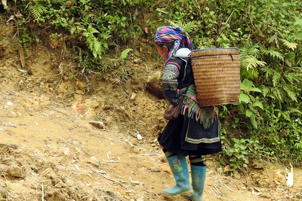Vrouw met draagmand en laarzen in de vallei bij Sa Pa, Vietnam