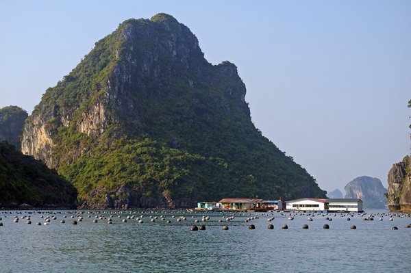 Uitzicht op het drijvende dorp met daarvoor de drijvers van de visnetten in Halong Bay, Vietnam